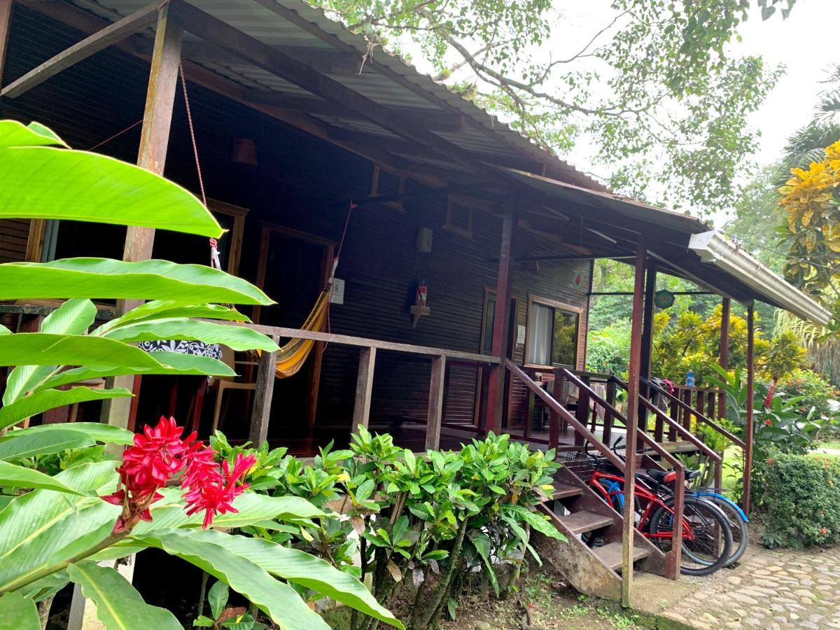 Cabinas Nirvana Ecolodge Cahuita Exterior foto